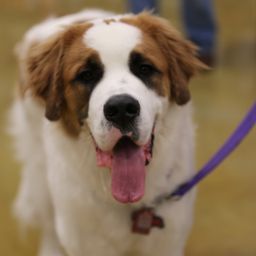 photograph by PeterW